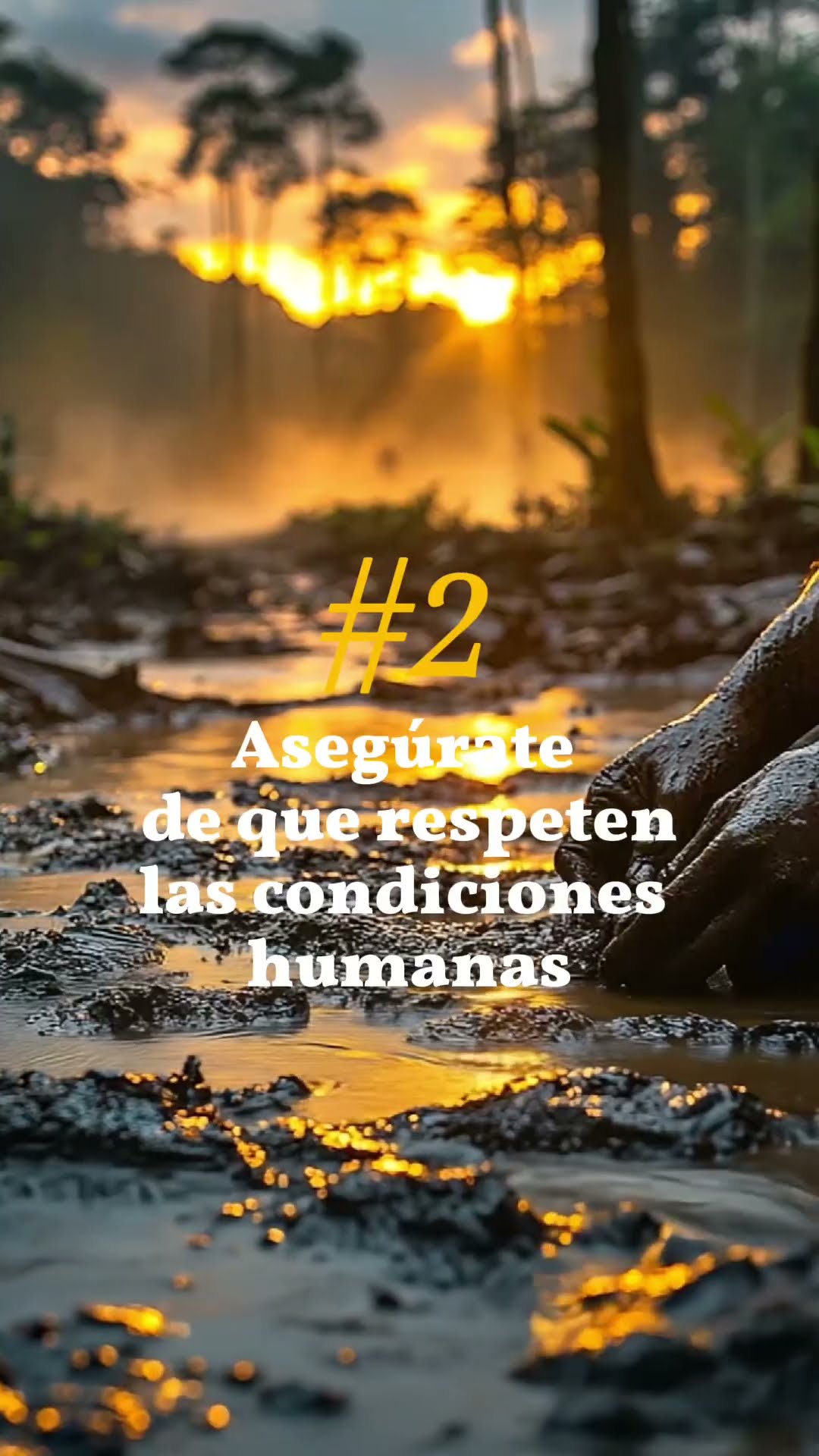 Elija con conciencia: 3 tips para seleccionar un oro responsable antes de comprar