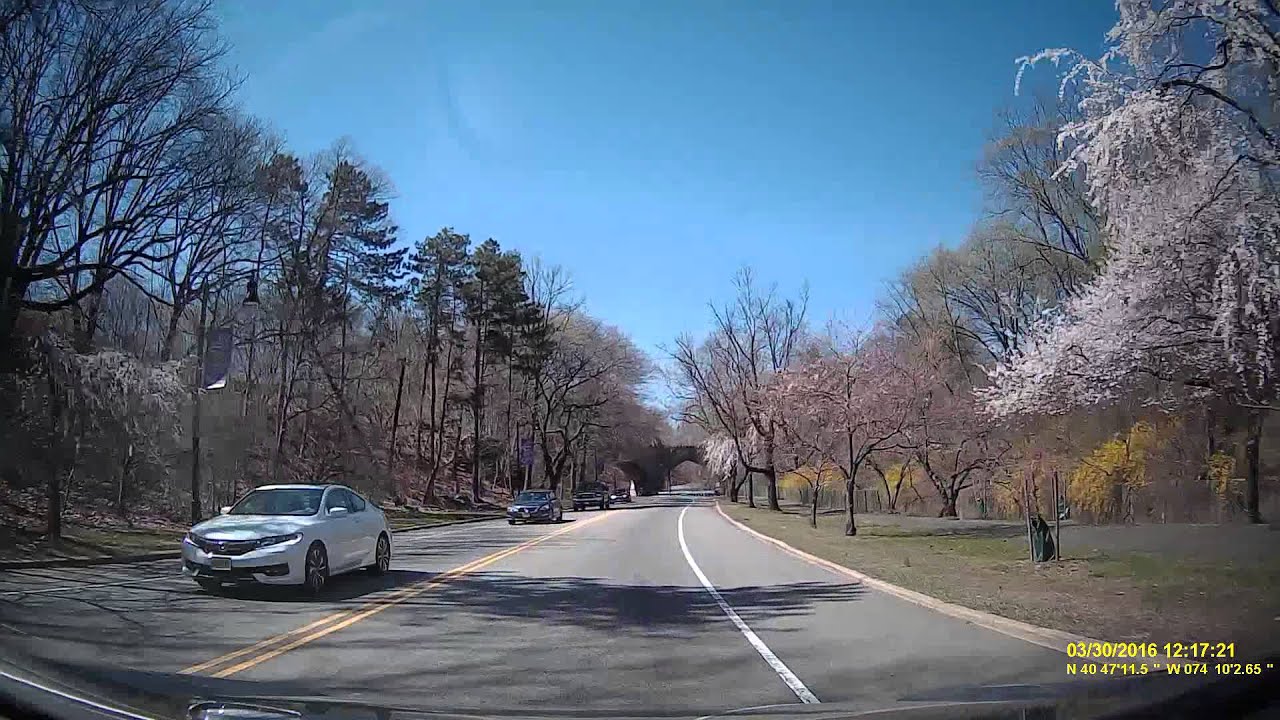 Cherry Blossom Belleville NJ March 30, 2016 Part 1 YouTube