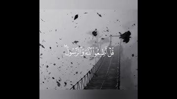 سورة ال عمران   قل ان كنتم تحبون الله فاتبعوني يحببكم الله