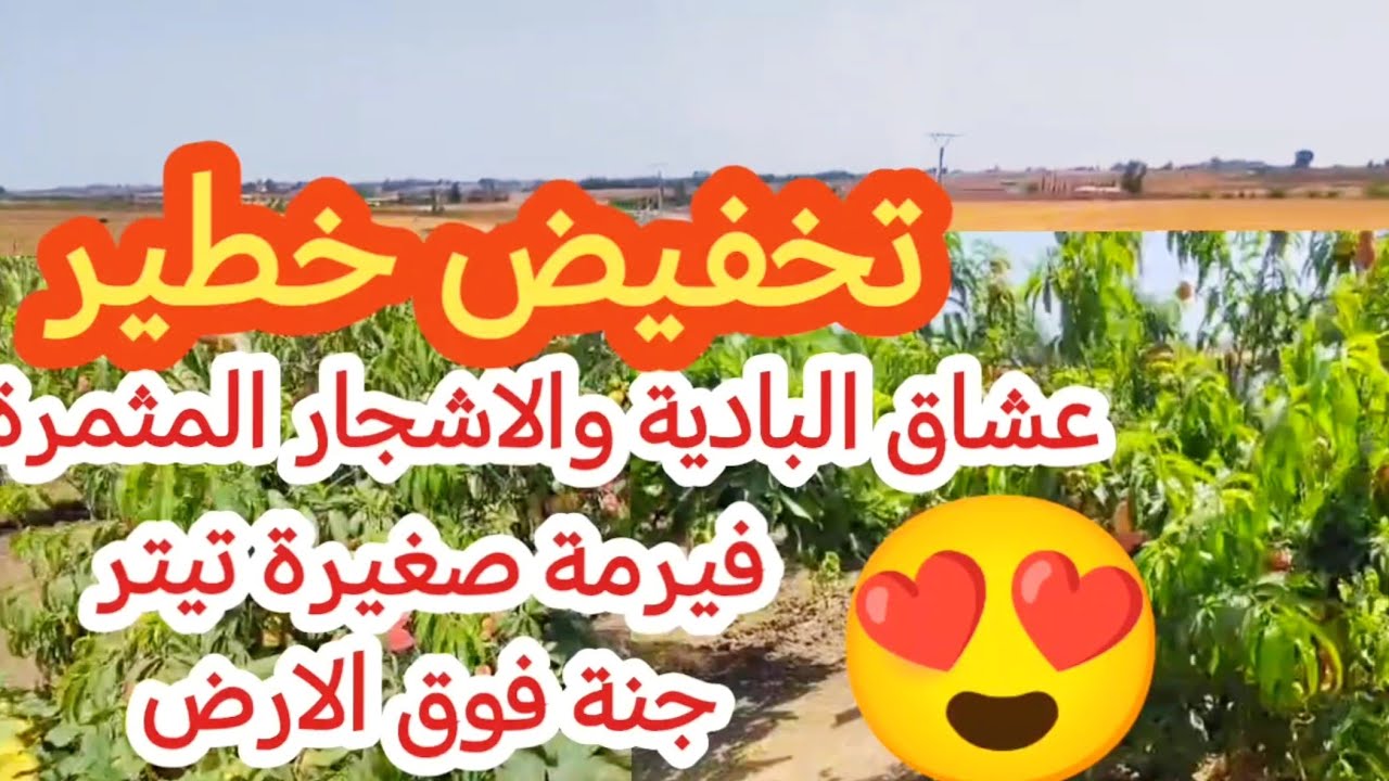 🚨🚨تخفيض ممتاز والثمن قابل للتفاوض😉فيرمة صغيرة ممتازة الدار،الاشجار،البئر، الطاقة الشمسية.. 