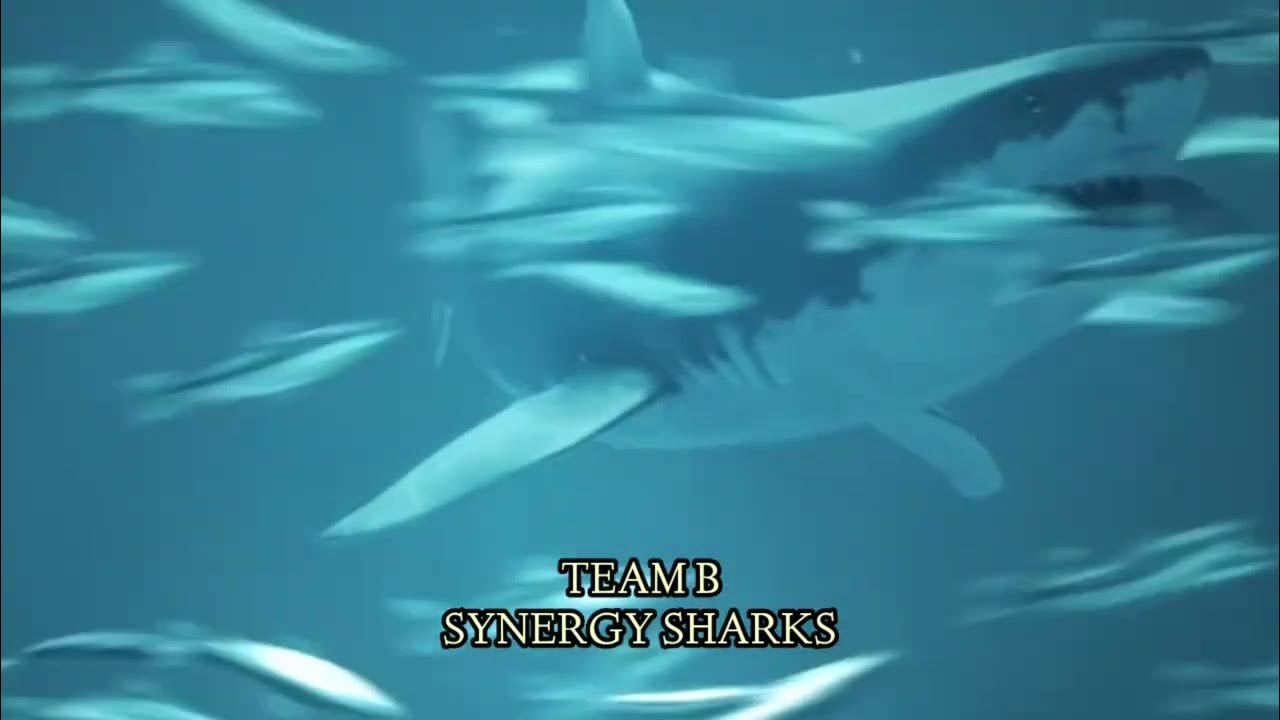 Introducing The Dynamic Team Names For The Sports And Cultural Events introducing-the-dynamic-team-names-for-the-sports-and-cultural-events