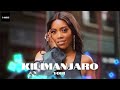 Afrobeat / Amapiano Instrumental 2024: Tiwa Savage x Black Sherif x Young Jonn - Kilimanjaro