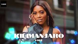 Afrobeat / Amapiano Instrumental 2024: Tiwa Savage x Black Sherif x Young Jonn - Kilimanjaro Beat