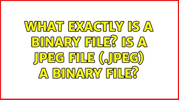 What exactly is a binary file? Is a JPEG file (.jpeg) a binary file? (2 Solutions!!)