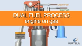 SHIP Dual Fuel Engine Process #engine