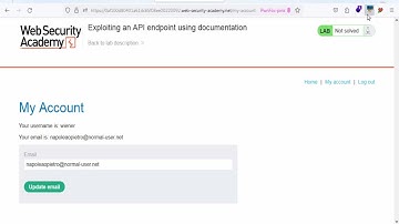 Lab API 2025: Exploiting an API Endpoint Using Documentation | PortSwigger + Burp Suite