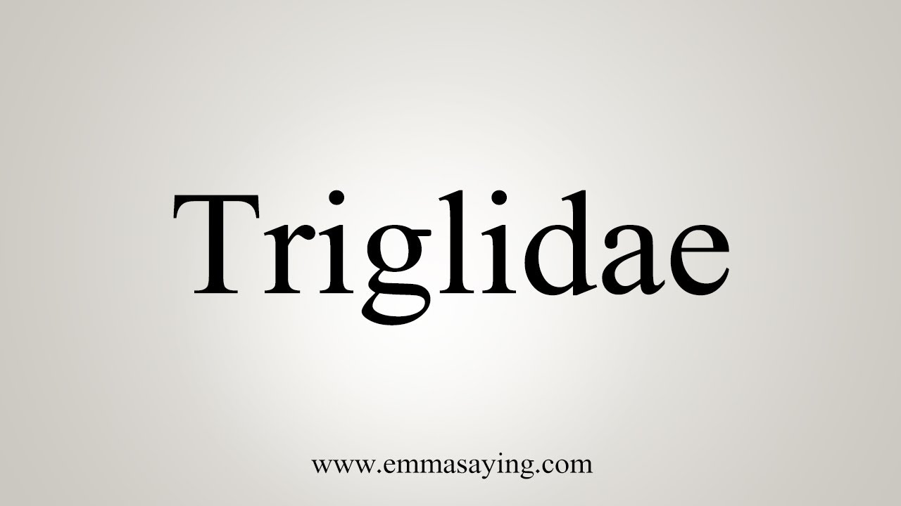 How To Say Triglidae