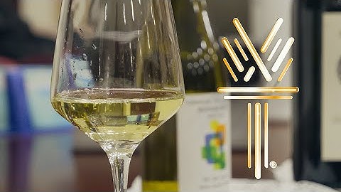 Wake Tech’s Wine Education Course: Sip, Learn, Enjoy 🍷