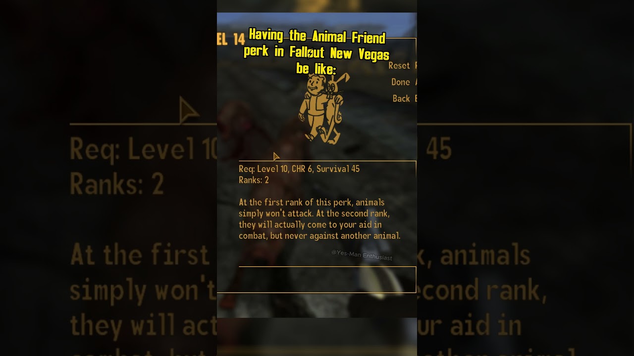 Having the Animal Friend perk in Fallout New Vegas be like: 