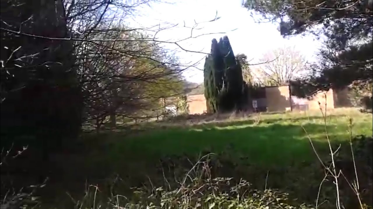 Alexander Patterson school (Explore) YouTube