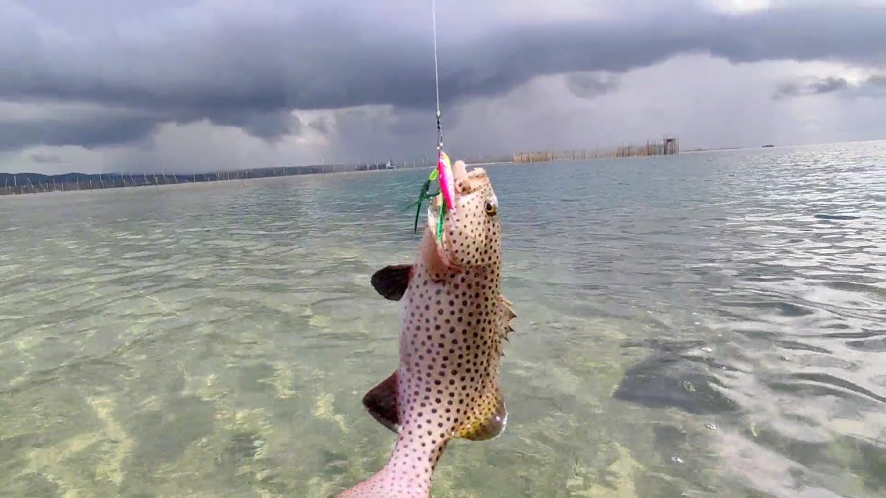 PERDANA!! Konten Pertama | Spot Kerapu Sunu | Mancing Casting strike Sunu cantik!