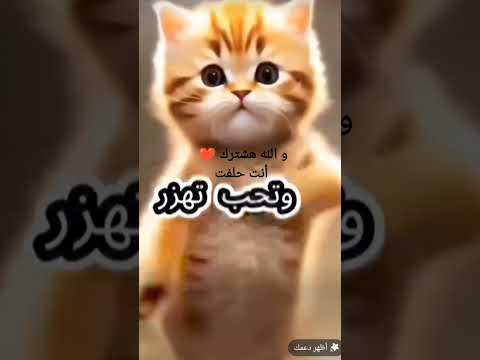 اغنية ب اسم زين