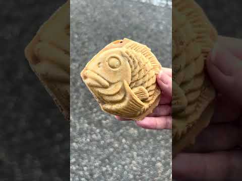 【小矢部市】まんまるパリパリ食感がたまらない!「鯛万屋」のたい焼きが美味すぎる! サムネイル