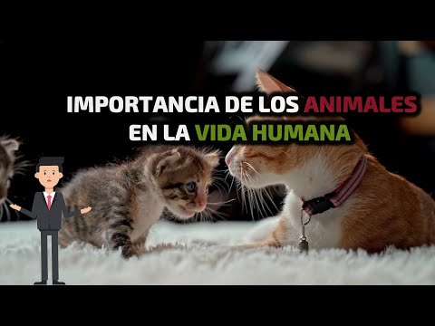 IMPORTANCIA DE LOS ANIMALES EN LA VIDA HUMANA