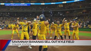 Sold out Savannah Bananas matchup expected to generate $18 million
