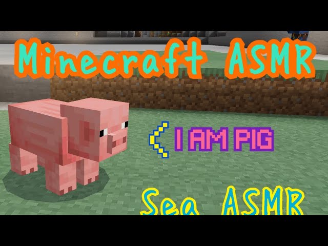 minecraftって音フェチ的だと思ったんです。
