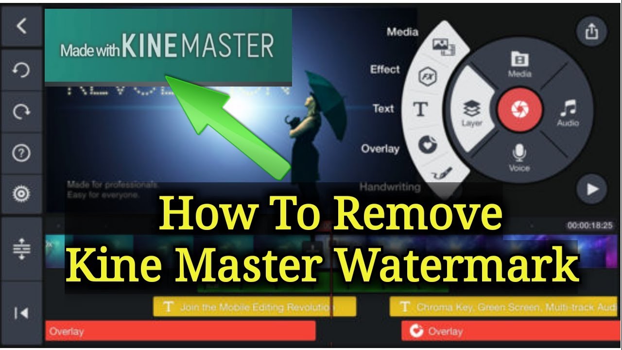 How to remove Download Master 56 How to remove Download Master 77