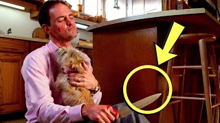 The Step Father (1987) : 20 Weird Facts You Didn't Know! Wealth