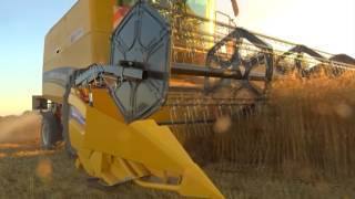 żniwa 2017 - owies | New Holland tc 5.80 | John Deere 140R | Wielton |  Oats Harvester |
