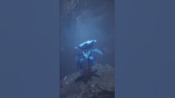 Pirate Treasure_Unreal Engine 5 #unrealengine #ue5 #pirate #treasure #3d