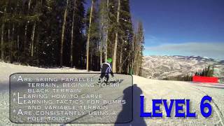 Level 6