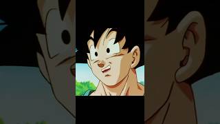 Goku's End of Z Outfit
