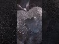 عم يرجف قلبي يا امي ومني برداني