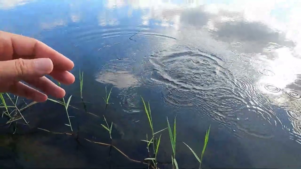 琵琶湖で、初めてのタナゴ釣り