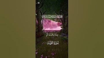 سورة التوبة للقارئ محمد صديق المنشاوي #قرآن #قران_كريم #المصحف #اكسبلور