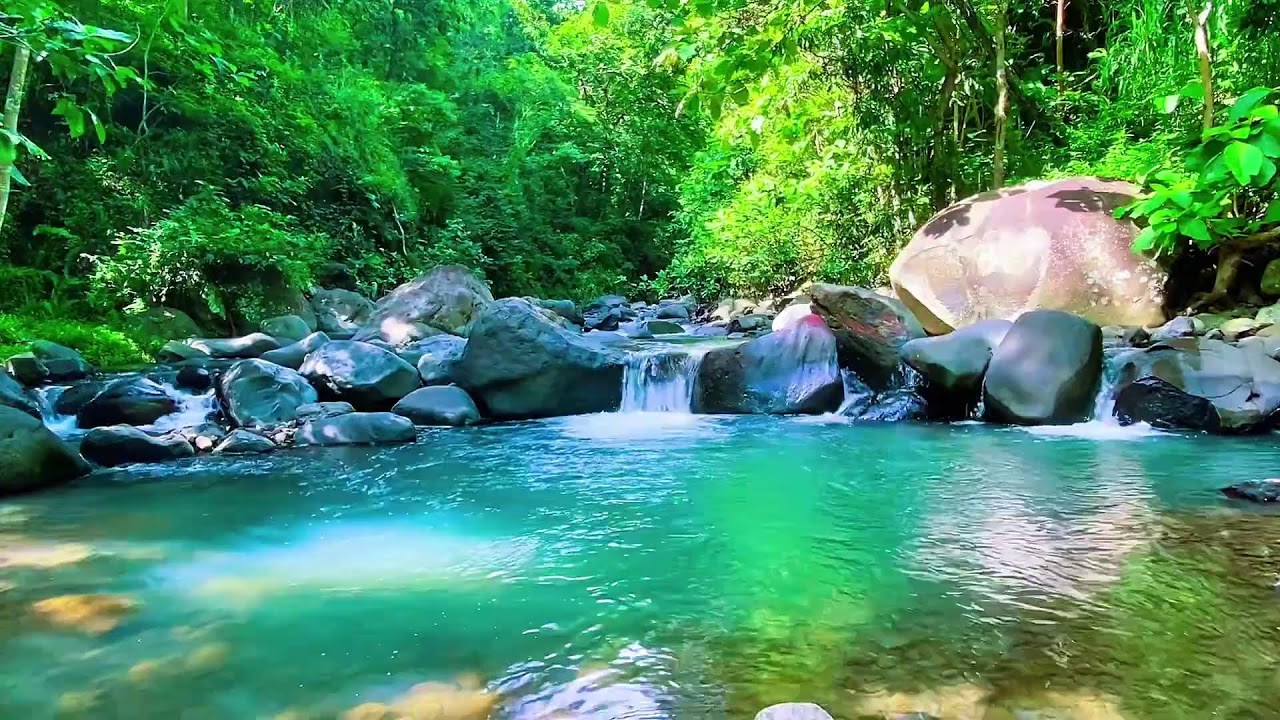 Mountain Water Stream Calm Flow, Forest River Sounds, Sleeping