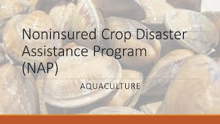 Farm Service Agency-Noninsured Crop Disaster Assistance Program