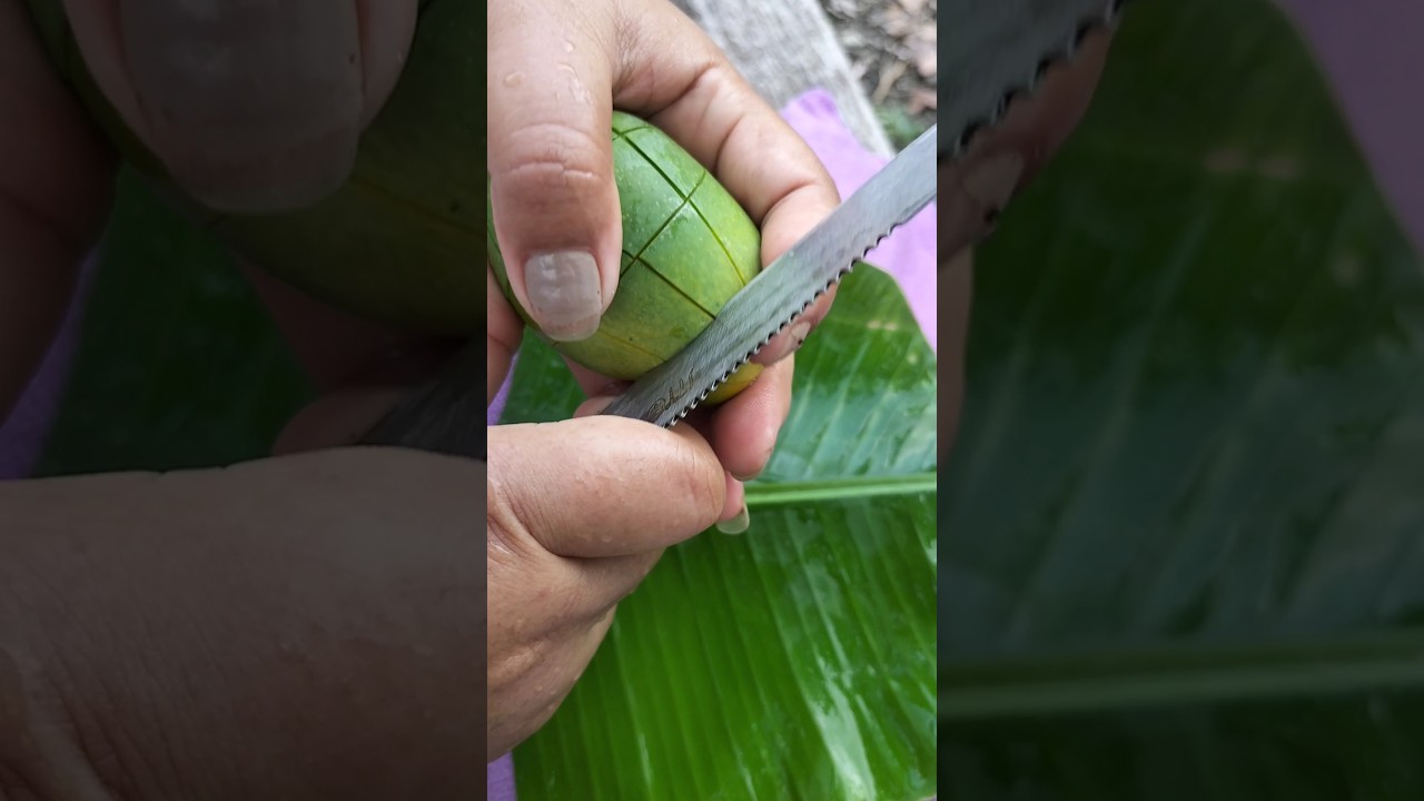 Fastest Mango Cutting For Pickle 