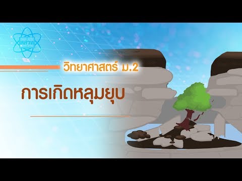 วีดีโอ: หลุมยุบคืออะไร?