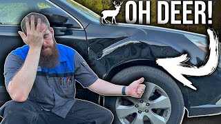 I WRECKED THE OUTBACK! HIT TWO DEER! LET'S FIX IT!