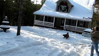 MVI_8276.AVI