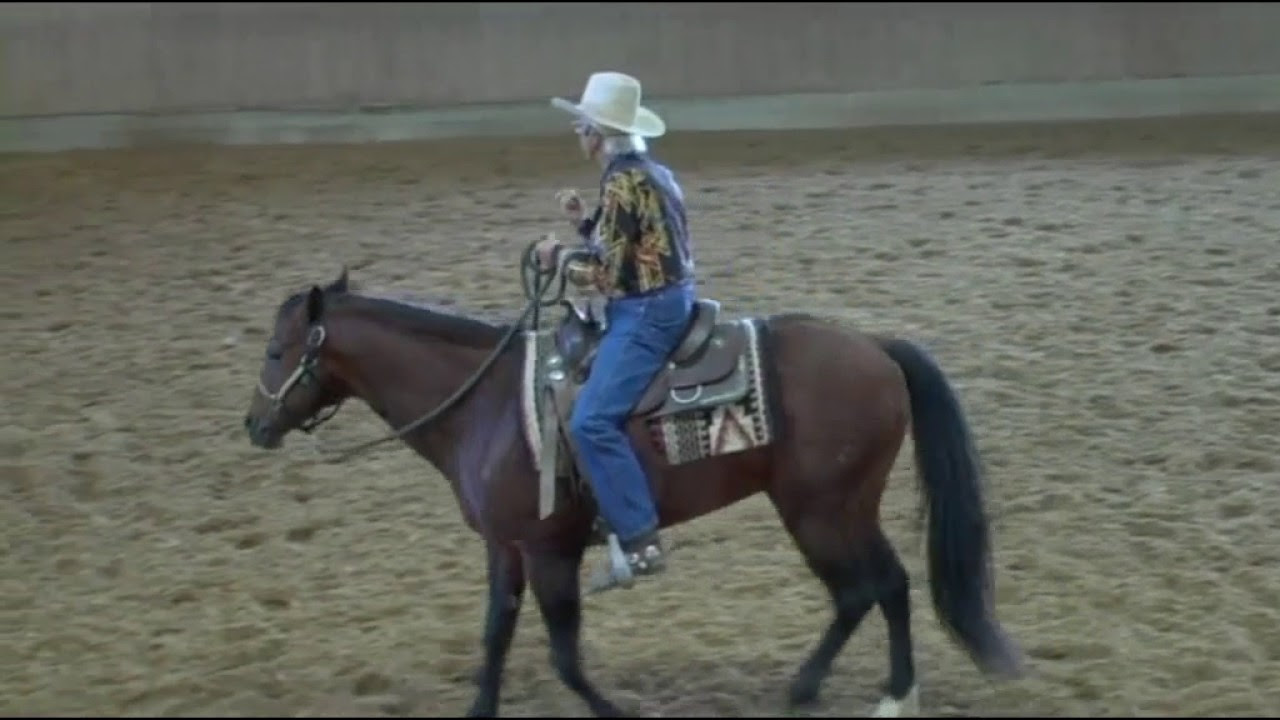 How to catch your horse on the paddock successfully