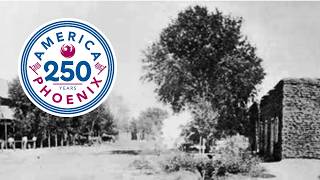 Phoenix 250