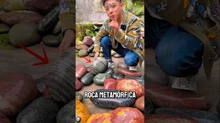 RARE METAMORPHIC ROCKS TRANSFORMED INTO STUNNING OBJECTS!