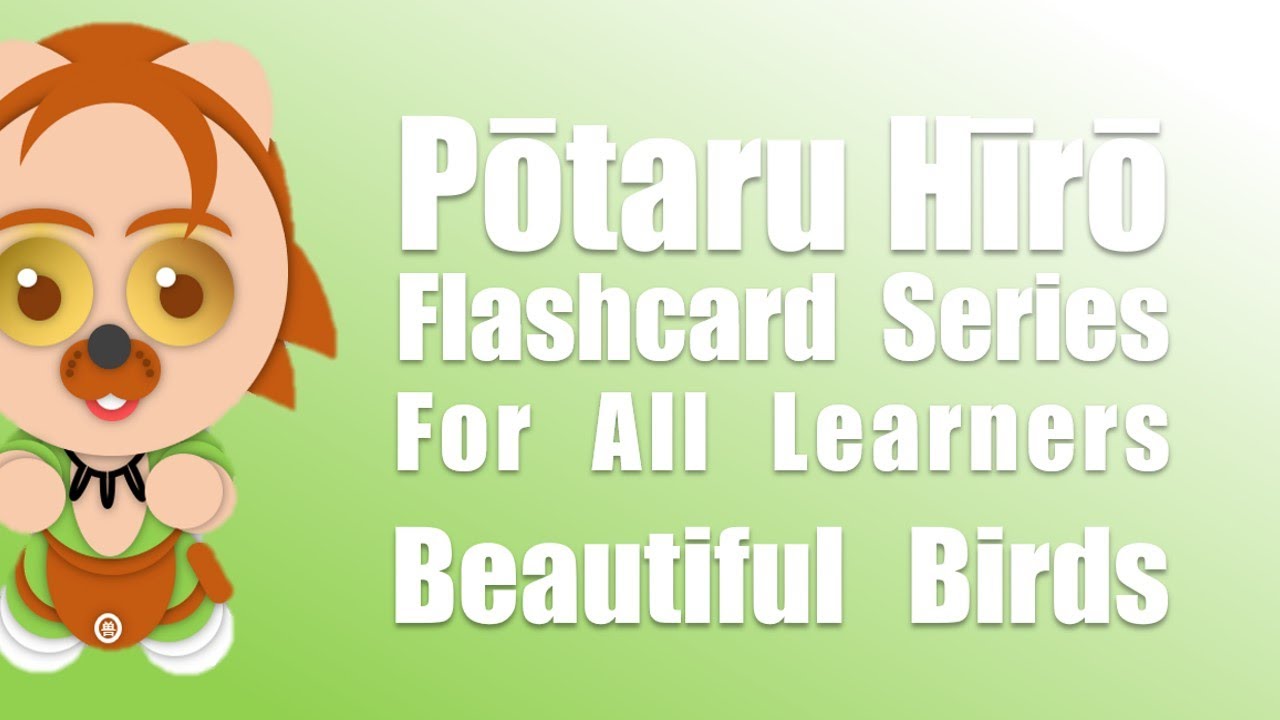 Flashcards for Learning: Beautiful birds (Shichida, Heguru)