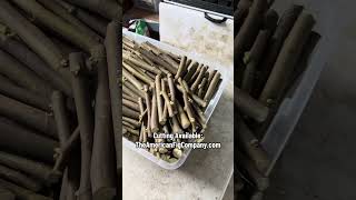 Grow Your Own Orchard From Cuttings?