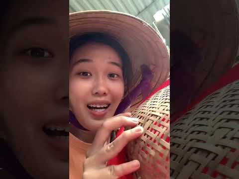 Video Dế kho khô, nhìn có ai sợ hông nè | Vy Cat-Lai #catlai - youtube