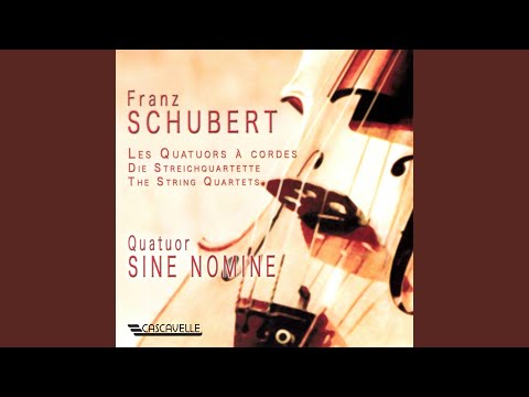 String Quartet No. 4 in C Major, D. 46: IV. Allegro