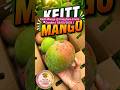 Keitt Mango @ Dasghara Fruits Garden (05/05/2026)