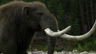 Surviving Earth [2026] - American Mastadon Screen Time