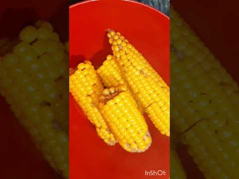 How to Boiled Masala Bhutta Recipe #shorts #trending #viralshorts #sweetcorn #bhutta