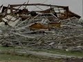 Hurricane Andrew: As It Happened