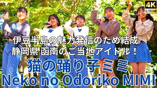 ①固定【4K/α7ⅲ】猫の踊り子ミミ（Japanese idol group Neko no Odoriko MIMI）『Enjoy music』at 楽寿園 2021年11月13日（土）
