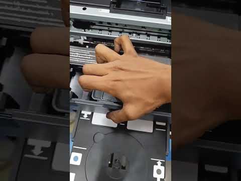 EPSON L8050 card