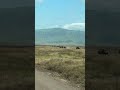 Migration In Ngorongoro Travel Animals Wildanimals Wildlife Elephant Travel Migration In Ngorongoro Travel Animals Wildanimals Wildlife Elephant Travel