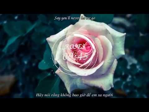 Видео: Roses - The Chaismokers ft. ROZES | Vietsub + Lyrics